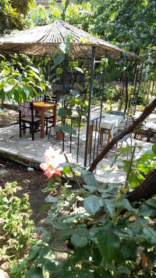Campeggio Camping Late Gjirokastër