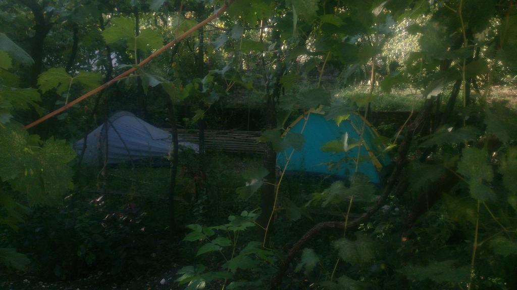 Camping Late Campeggio