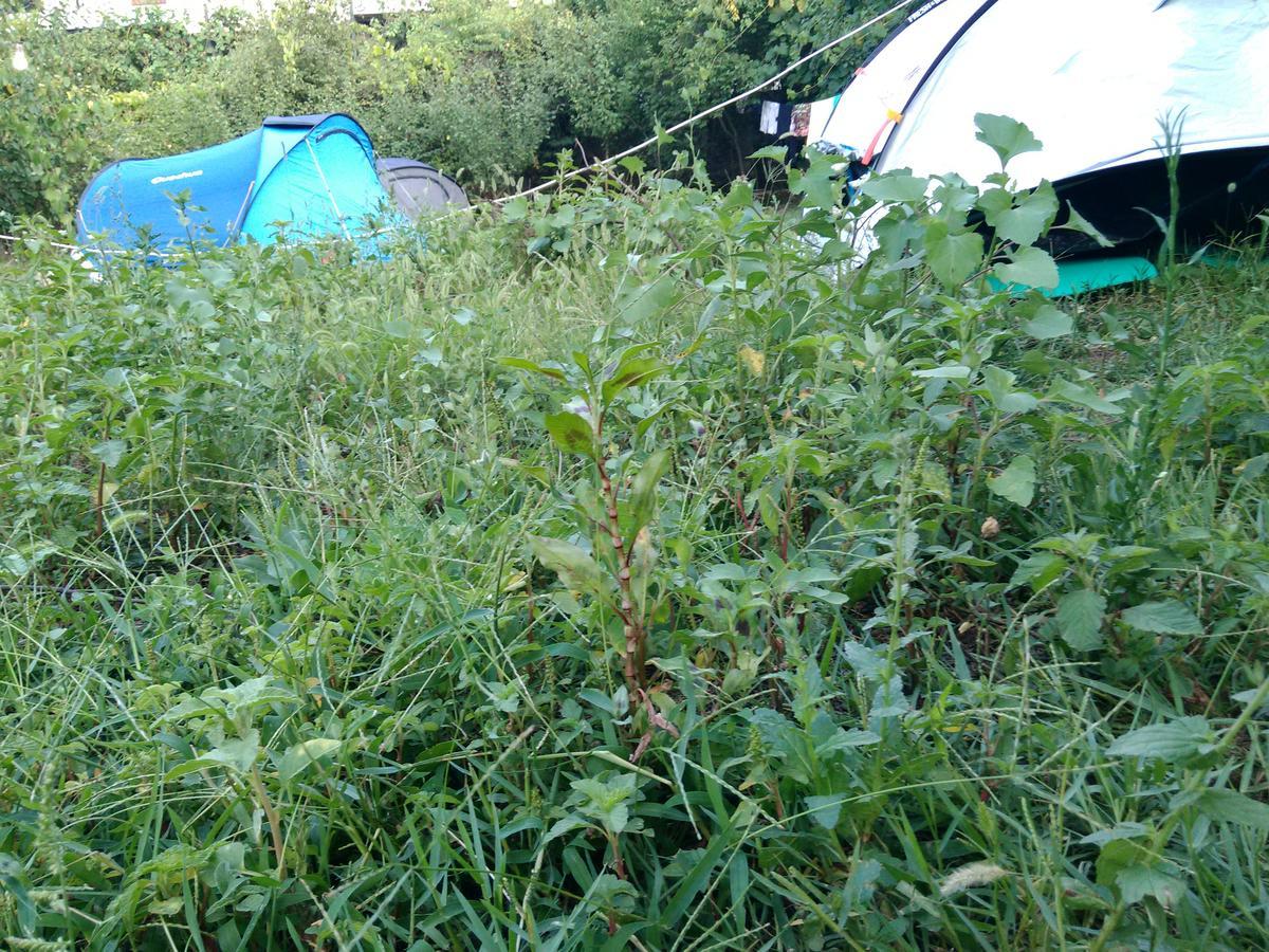 Camping Late Campeggio Gjirokastër